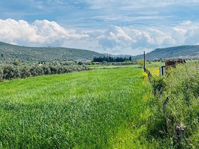 BEYAZ YUVA GAYRİMENKULDEN Milas Mutluca Mahallesi’nde 2.945 m² Satılık Tarla - Görsel 21