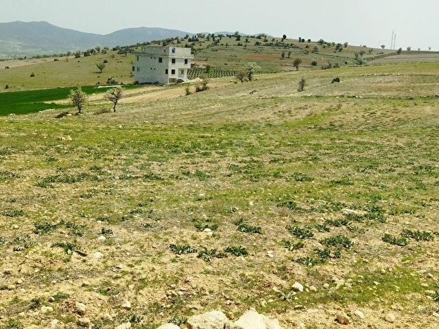 KORKUTELİ KÜÇÜKKÖYDE GÖLET MANZARALI - Görsel 3