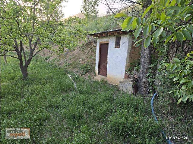ERZURUM EMLAK SEPETİNDEN TORTUM KALEDİBİNDE SATILIK BAHÇELER - Görsel 9