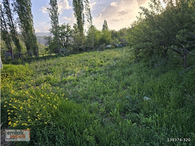 ERZURUM EMLAK SEPETİNDEN TORTUM KALEDİBİNDE SATILIK BAHÇELER - Görsel 20