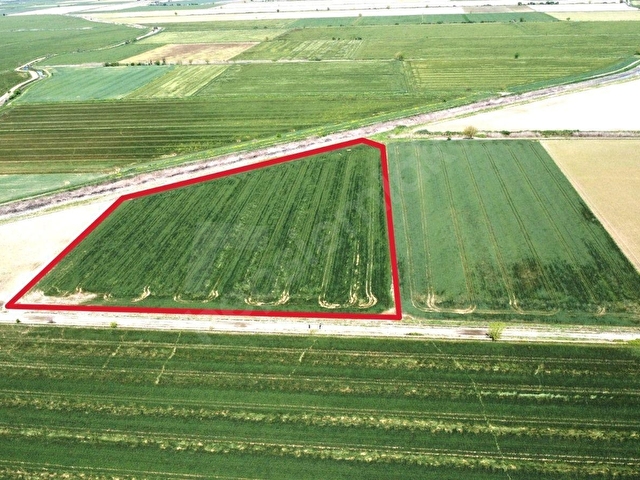 SÖKE OVASINDA 22.500 m² DÜMDÜZ, KADASTRO YOLA CEPHELİ TARLA - Görsel 26