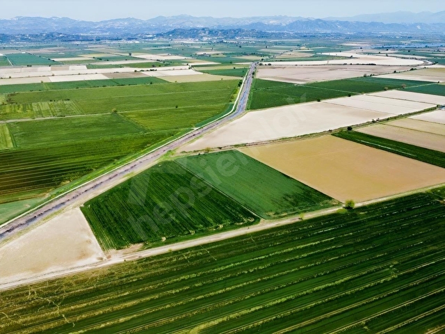 SÖKE OVASINDA 22.500 m² DÜMDÜZ, KADASTRO YOLA CEPHELİ TARLA - Görsel 16