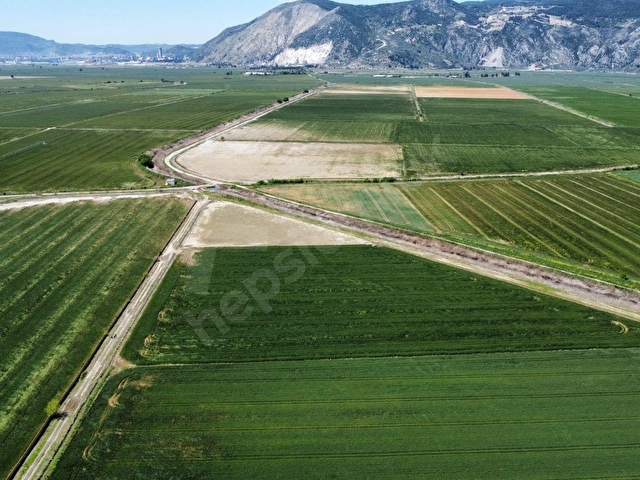 SÖKE OVASINDA 22.500 m² DÜMDÜZ, KADASTRO YOLA CEPHELİ TARLA - Görsel 18