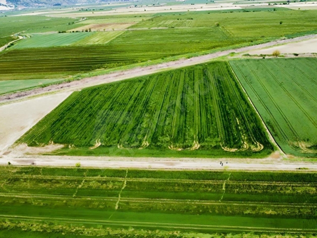 SÖKE OVASINDA 22.500 m² DÜMDÜZ, KADASTRO YOLA CEPHELİ TARLA - Görsel 12
