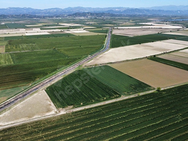 SÖKE OVASINDA 22.500 m² DÜMDÜZ, KADASTRO YOLA CEPHELİ TARLA - Görsel 21