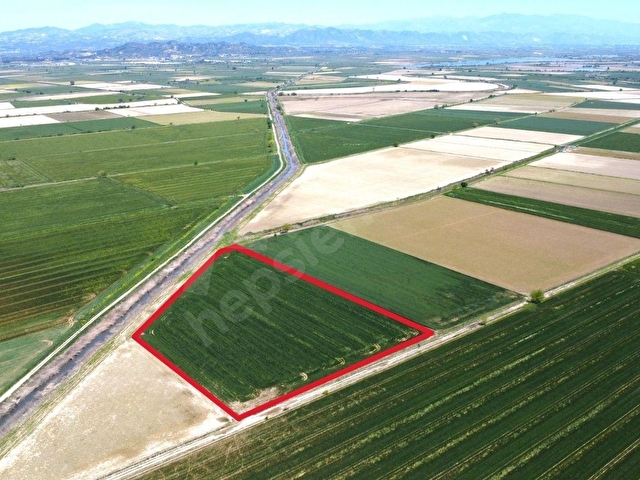 SÖKE OVASINDA 22.500 m² DÜMDÜZ, KADASTRO YOLA CEPHELİ TARLA - Görsel 13