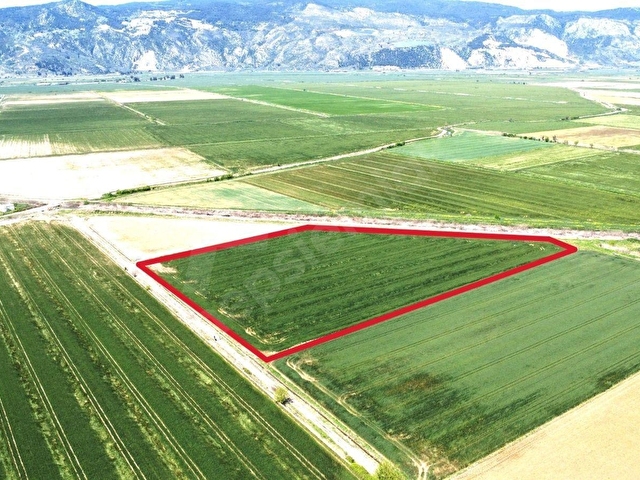SÖKE OVASINDA 22.500 m² DÜMDÜZ, KADASTRO YOLA CEPHELİ TARLA - Görsel 27