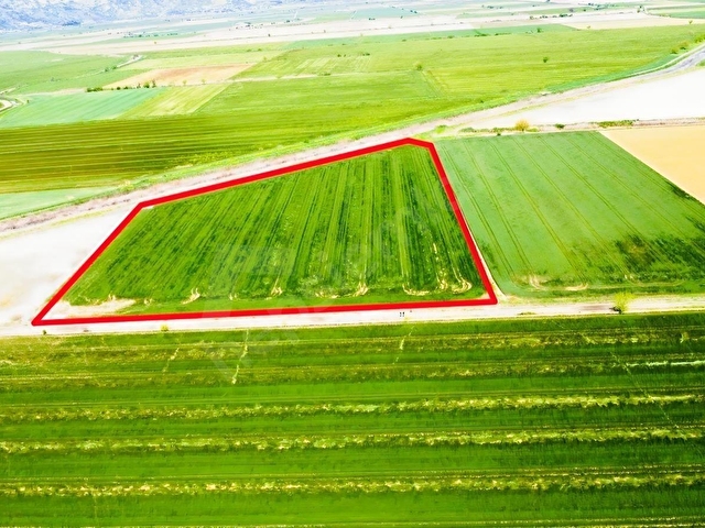 SÖKE OVASINDA 22.500 m² DÜMDÜZ, KADASTRO YOLA CEPHELİ TARLA - Görsel 3