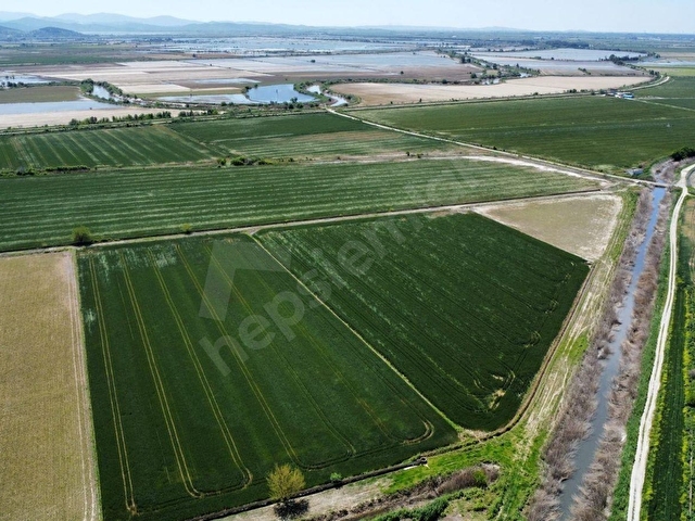 SÖKE OVASINDA 22.500 m² DÜMDÜZ, KADASTRO YOLA CEPHELİ TARLA - Görsel 6