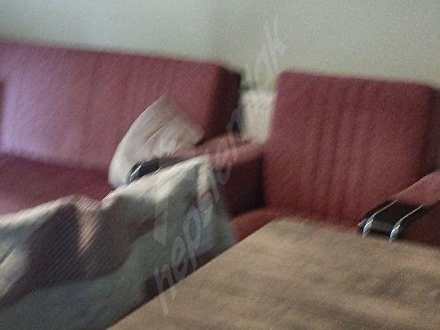 EŞYALI 1+1KİRALIK DAİRE - Görsel 12
