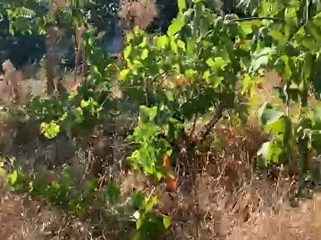 YETİŞ AL DAN SAVAŞTEPE DE 296 M2 SATILIK 2 KAT KONUT İMARLI ARSA - Görsel 21