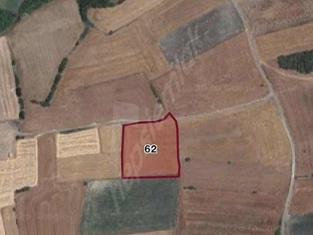 BALIKESİR ALTIEYLÜL ORHANLIDA 5000 M2 TEP TAPU SATILIK TARLA - Görsel 3