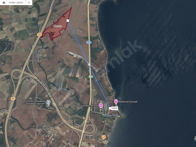 NOKTA EMLAK | BOĞAZ MANZ. 1/2 HİSSE DÖNÜM - 470 M KADASTRAL YOLU - Görsel 16