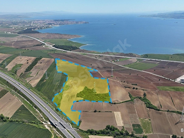 NOKTA EMLAK | BOĞAZ MANZ. 1/2 HİSSE DÖNÜM - 470 M KADASTRAL YOLU - Görsel 13
