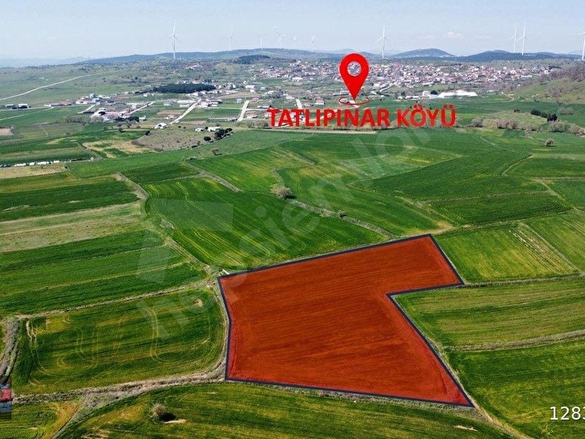 RE/MAX İNCİDEN TATLIPINAR MAH. SATILIK TARLA - Görsel 23
