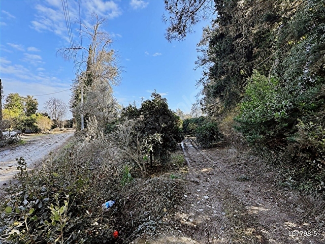 Bahtılıda 10 Dönüm Kiralık Bungalov Ev Yapımına Uygun Arsa - Görsel 2