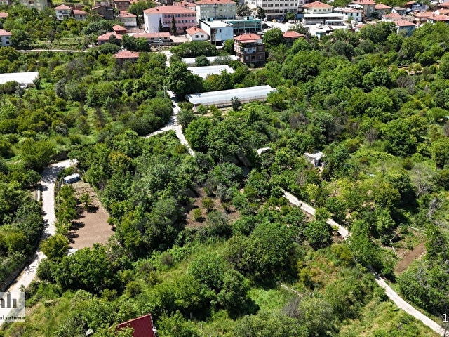 ŞANLI GAYRIMENKULDEN FIRSAT MEYVE BAHCESI - Görsel 3