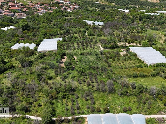 ŞANLI GAYRIMENKULDEN FIRSAT MEYVE BAHCESI - Görsel 5