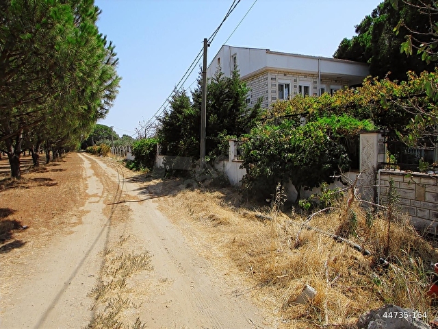 AYVALIK ALTINOVA DA İŞ YERİ VE VİLLA - Görsel 2