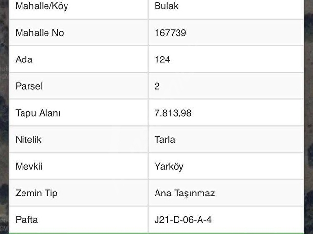 BALCİTY - BALIKESİR SINDIRGI’DA MÜCAVİR ALANA SINIR FIRSAT TARLA! - Görsel 23