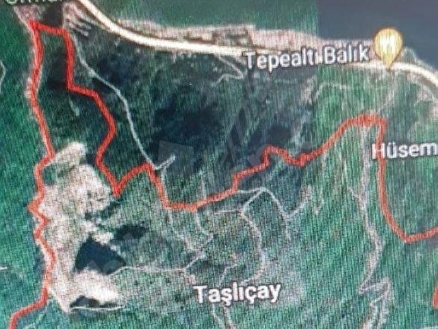 ÇALIŞKAN DAN ORDU GÜLYALI DA ACİL SATILIK FINDIK BAHÇESİ - Görsel 3