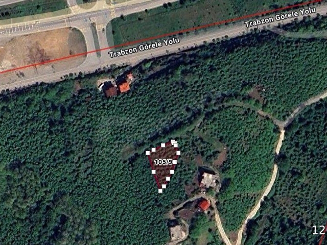 GİRESUN GÖRELE HAYDARLIDA DENİZE 200METRE SATILIK FINDIK BAHÇESİ - Görsel 7