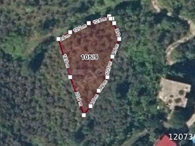 GİRESUN GÖRELE HAYDARLIDA DENİZE 200METRE SATILIK FINDIK BAHÇESİ - Görsel 6