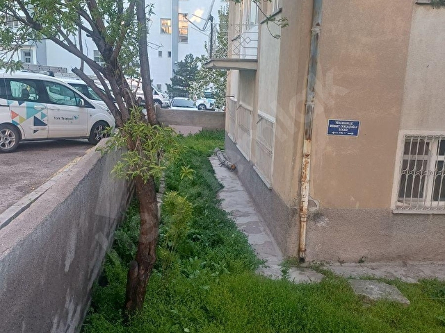 KİRALIK 3+1 DAİRE YENİ MAHALLEDE TÜRK TELOKM YANINDA 3CÜ ARA KAT - Görsel 3