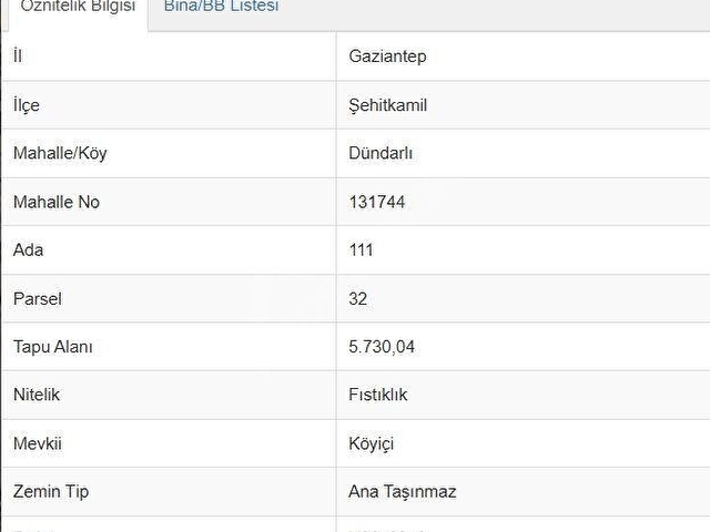REPA GAYRİMENKUL EMİN DARICIOĞLU DÜNDARLI SATILIK FIRSAT TARLA! - Görsel 10