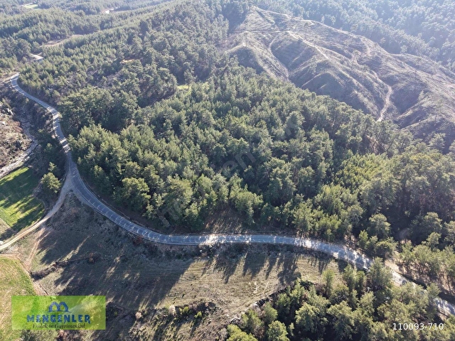 Muğla yenibağyaka mahallesi 595 m2 tarla - Görsel 8