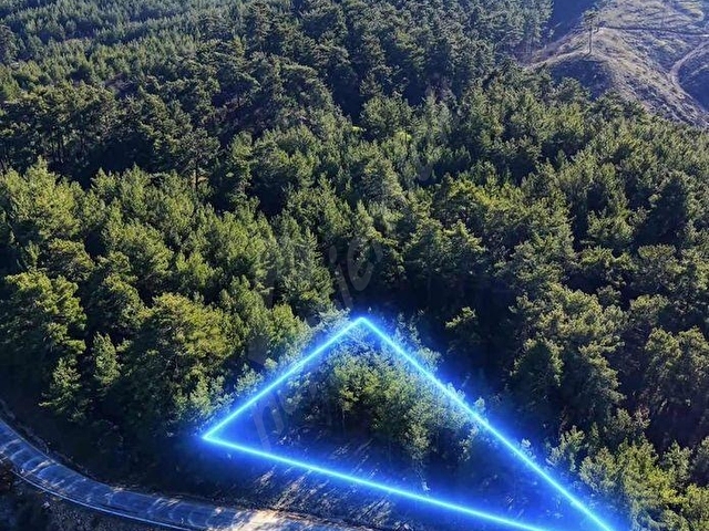 Muğla yenibağyaka mahallesi 595 m2 tarla