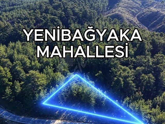 Muğla yenibağyaka mahallesi 595 m2 tarla - Görsel 14