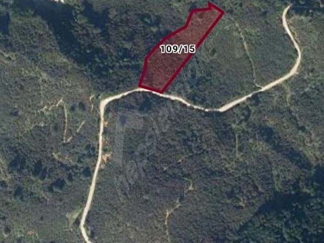 ÖĞRETMEN,DEN AKÇAKOCA KURUKAVAK KÖYÜNDE SATILIK 10.221 m²