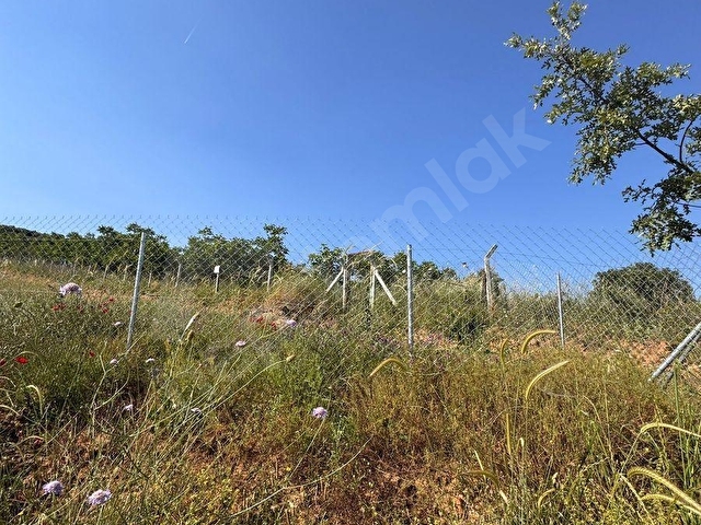 Yüksek Verimli Meyve Ağaçlarıyla Donatılmış Satılık Tarla - Görsel 4