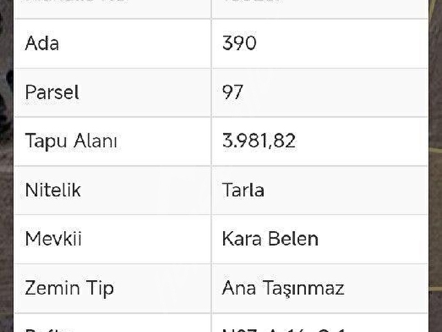 DENİZLİ ANTALYA YOLUNA YAKIN MÜSTAKİL TARLA - Görsel 5