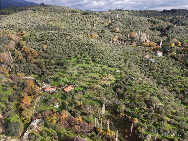 ▀▄MERA EMLAKTAN DERELİ KÖYÜNDE 1.175 m2 MÜSTAKİL TAPULU BAHÇE▀▄ - Görsel 14