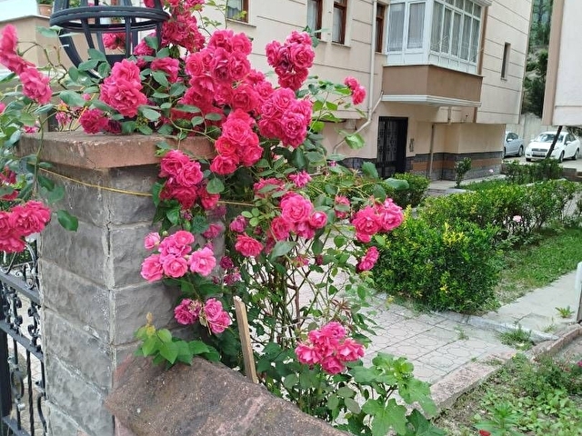 Karabük Eğitim Araştırma Hastahanesine yakın, Orman Manzaralı - Görsel 3