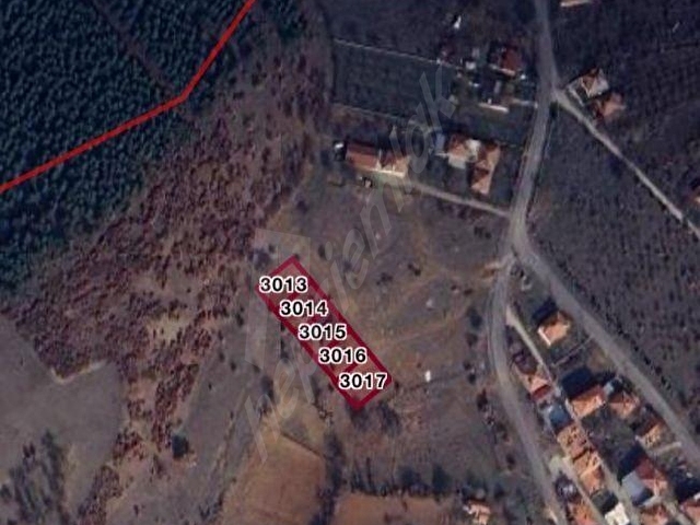 Sultandağı Yatırımlık 2 Parsel yanyana satılık arsalar - Görsel 2