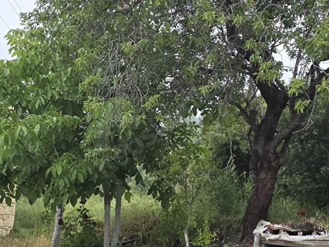 MERSİN ERDEMLİ KARAYAKUP TA SATILIK TAŞ EV VE 812M2 TARLA - Görsel 12