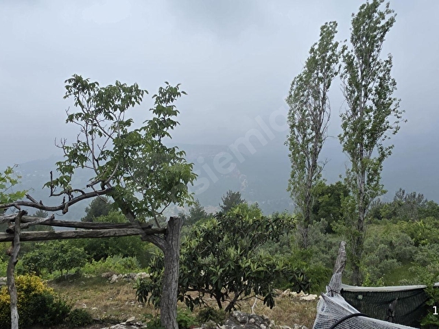 MERSİN ERDEMLİ KARAYAKUP TA SATILIK TAŞ EV VE 812M2 TARLA - Görsel 16