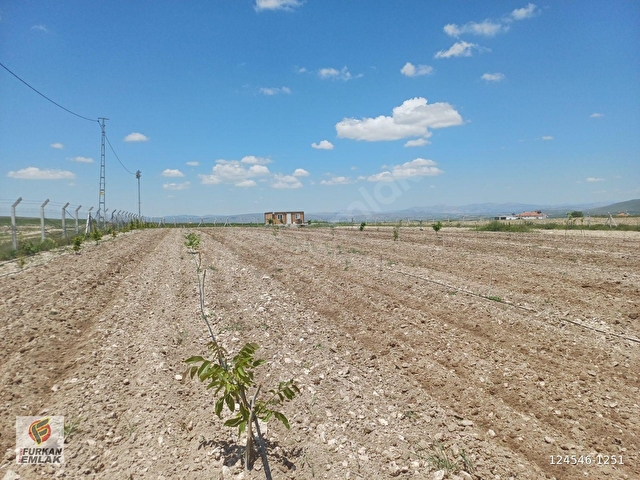 İNCESU SÜKSÜNDE SATILIK PREFABRİK EV ve 2204 m2 ARSASI - Görsel 16