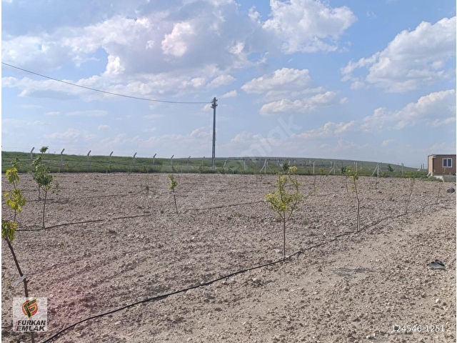 İNCESU SÜKSÜNDE SATILIK PREFABRİK EV ve 2204 m2 ARSASI - Görsel 21