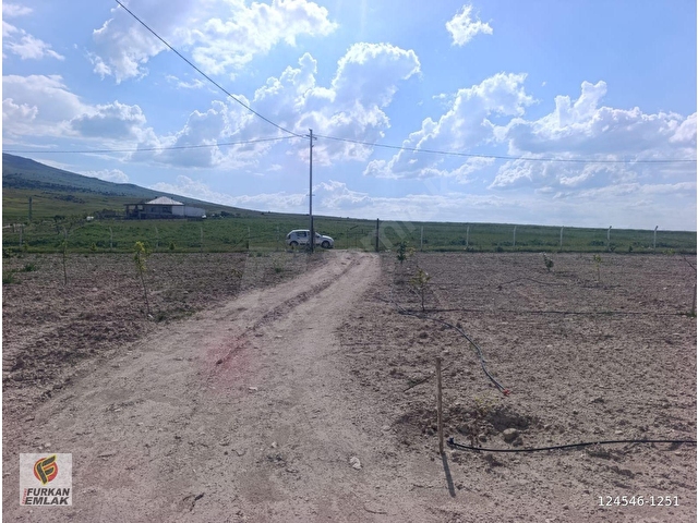 İNCESU SÜKSÜNDE SATILIK PREFABRİK EV ve 2204 m2 ARSASI - Görsel 19