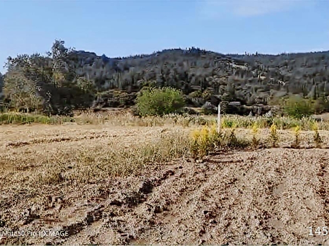 Seferihisar Kavakdere Mahalesi Yatırımlık Arazi - Görsel 14