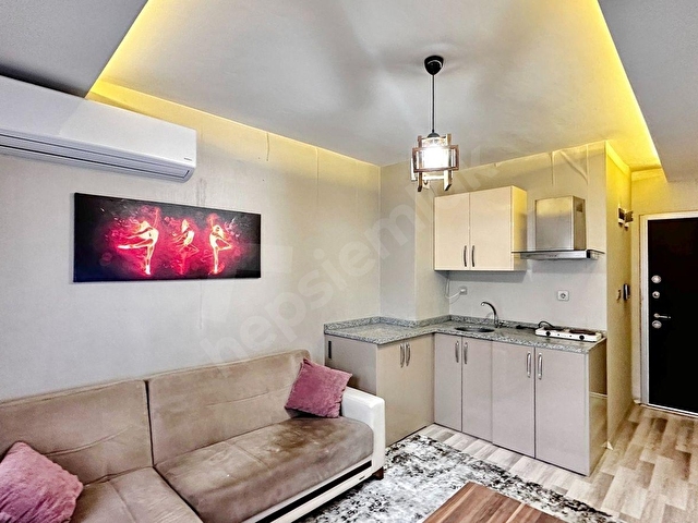 3 Bay Eyüp Şahinden Ordu Caddesi Üzerinde Eşyalı 1+1 Stüdyo - Görsel 2