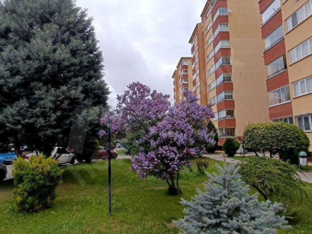 Huzur Doğa ve Şehir Manzarası!! Yenibağlarda Fırsat 3+1 - Görsel 8