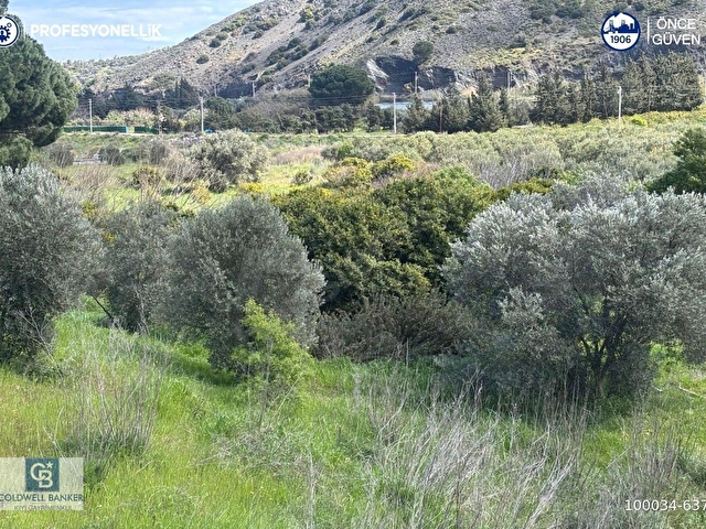 Karaburun Hassekide 9330 m² Satılık Tarla - Görsel 7