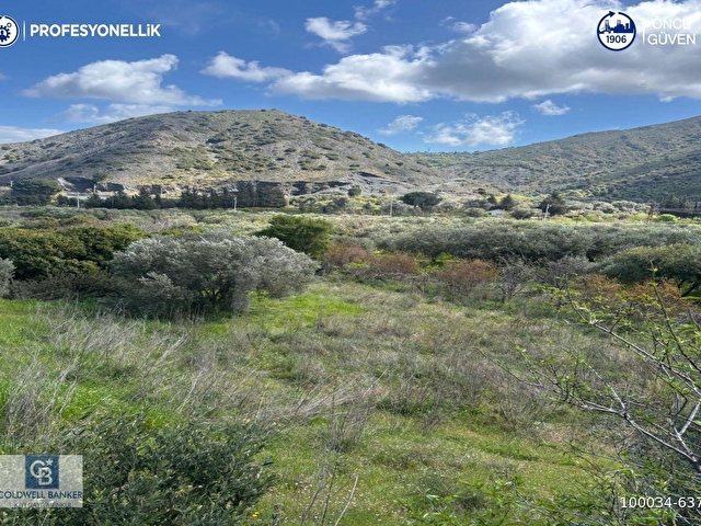 Karaburun Hassekide 9330 m² Satılık Tarla
