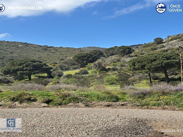 Karaburun Hassekide 9330 m² Satılık Tarla - Görsel 11