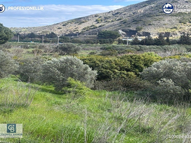 Karaburun Hassekide 9330 m² Satılık Tarla - Görsel 8